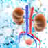 MexStemCells Clinic Stem Cells Therapy in Kidney Failure